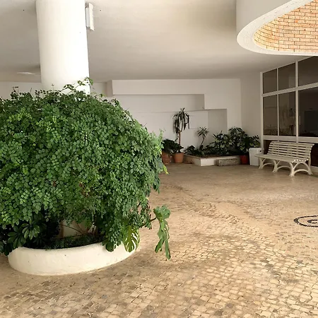 Discovery Apartman *